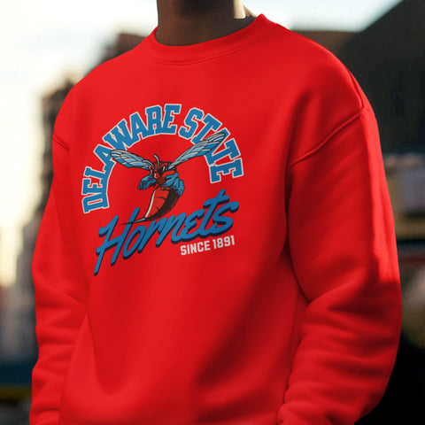 Delaware State Hornets (Unisex Sweatshirt)