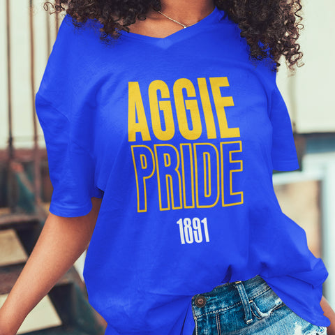 Aggie Pride - North Carolina A&T (Women's V-Neck)