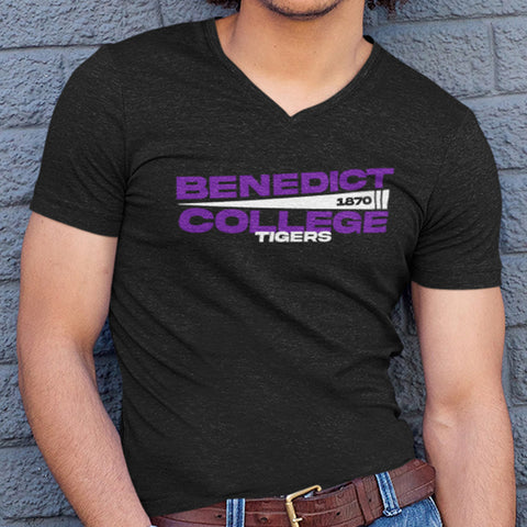 Benedict College - Flag Edition (Men's V-Neck)