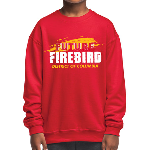 Future UDC Grad NextGen (Youth Sweatshirt/Hoodie)
