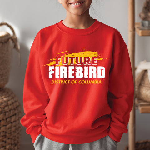 Future UDC Grad NextGen (Youth Sweatshirt/Hoodie)