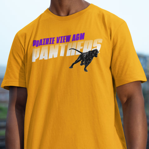 Prairie View A&M University - Panther Pride Sweatsuit - (Hoodie + Sweatpants)