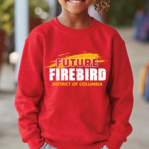 Future UDC Grad NextGen (Youth Sweatshirt/Hoodie)