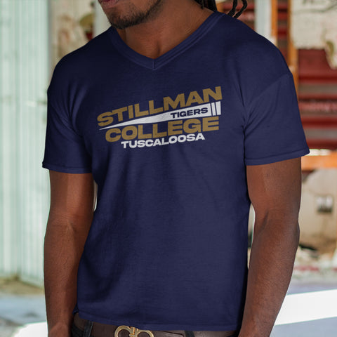 Stillman College - Flag Edition (Men's V-Neck)