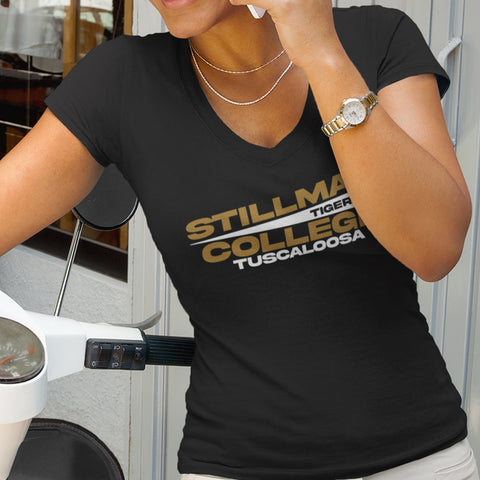 Stillman College - Flag Edition (Women's V-Neck)