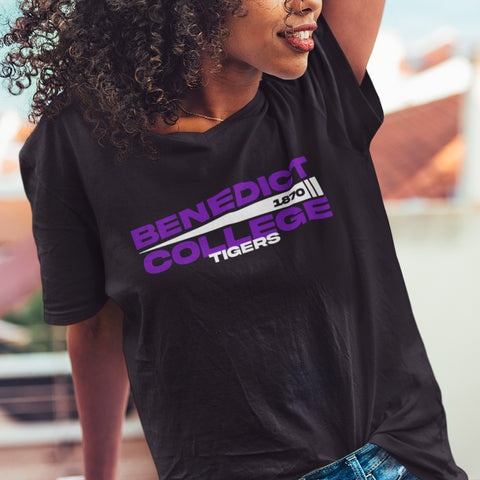Benedict College - Flag Edition (Women's V-Neck)