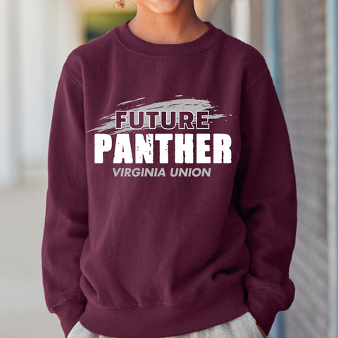 Future Virginia Union Panther NextGen (Youth Sweatshirt/Hoodie)