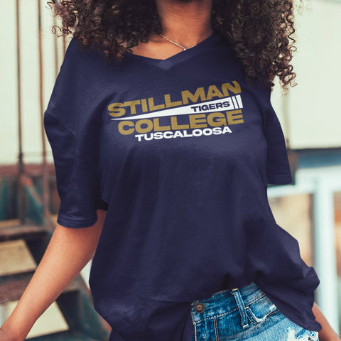 Stillman College - Flag Edition (Women's V-Neck)