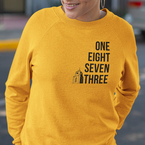 Est. 1873 Arkansas Pine Bluff (Women's Sweatshirt)