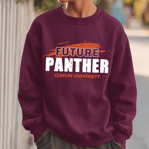 Future Claflin Panther NextGen (Youth Sweatshirt/Hoodie)
