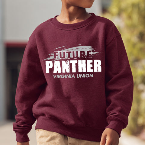 Future Virginia Union Panther NextGen (Youth Sweatshirt/Hoodie)