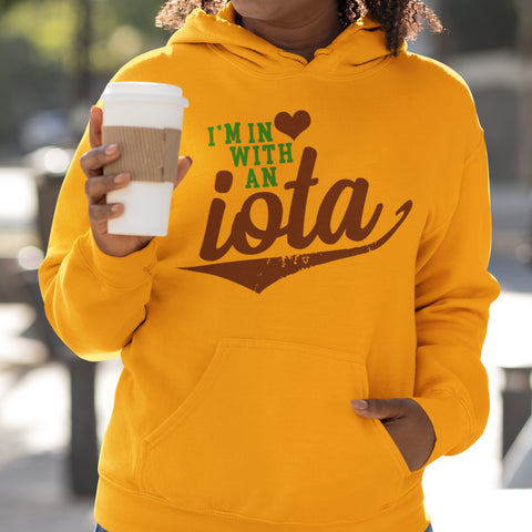 In Love With An Iota (Hoodie)