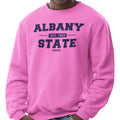Albany State - PINK (Men's Sweatshirt)