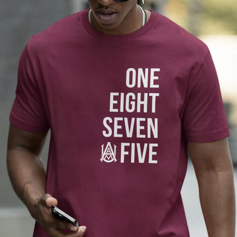 Alabama A&M -AAMU The Hill Sweatsuit - (Hoodie + Sweatpants)