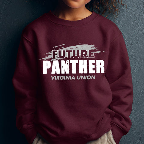 Future Virginia Union Panther NextGen (Youth Sweatshirt/Hoodie)