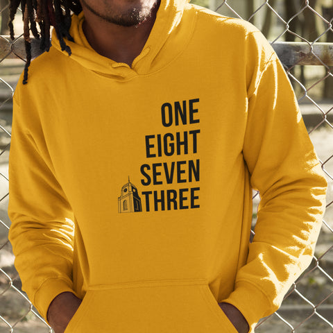 Est. 1873 Arkansas Pine Bluff (Men's Hoodie)