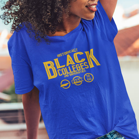 Fisk University Legacy Edition (Women's V-Neck)