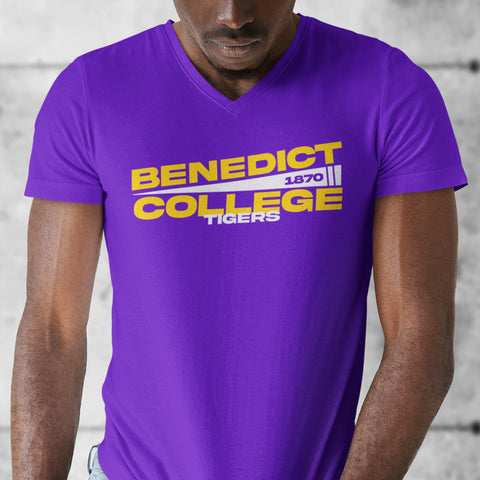 Benedict College - Flag Edition (Men's V-Neck)
