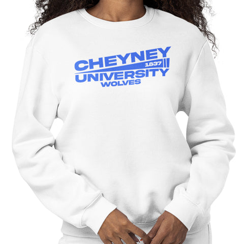 Cheyney University Flag Edition (Sweatshirt)