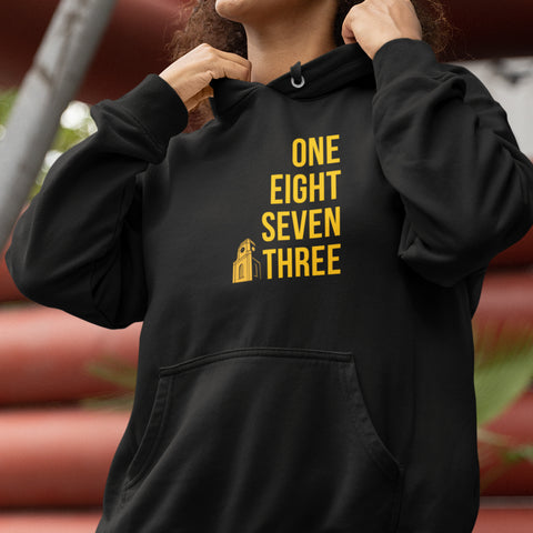 Est. 1873 Arkansas Pine Bluff (Women's Hoodie)