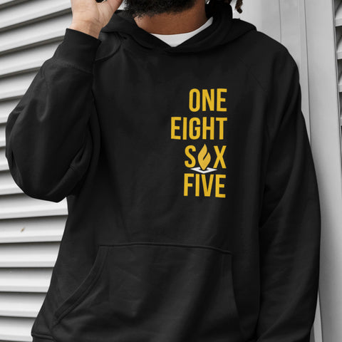 Est. 1865 Bowie State University (Hoodie)