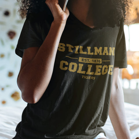 Stillman College Tigers (Women's V-Neck)