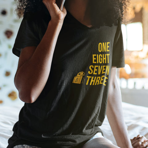 Est. 1873 Arkansas Pine Bluff (Women's V-Neck)