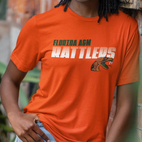 Florida A&M University  - FAMU We Brag Different  Sweatsuit - (Hoodie + Sweatpants)