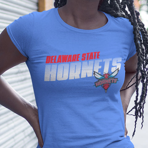 Delaware State Hornets Sweatsuit (Red) - (Hoodie + Sweatpants)