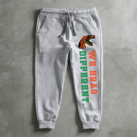 Florida A&M University  - FAMU We Brag Different  Sweatsuit - (Hoodie + Sweatpants)