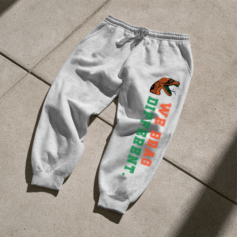 Florida A&M University  - FAMU We Brag Different  Sweatsuit - (Hoodie + Sweatpants)