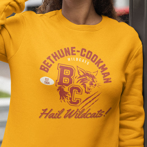 Hail Wildcats! - Bethune-Cookman (Unisex Sweatshirt)