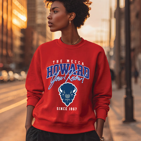 HU You Know! - Howard University (Unisex Sweatshirt)