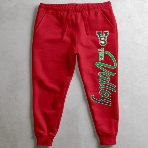 Mississippi Valley State Delta Devils Sweatsuit - (Hoodie + Sweatpants)