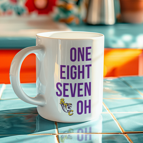 Benedict College -Tiger Nation Sweatsuit - (Hoodie + Sweatpants)