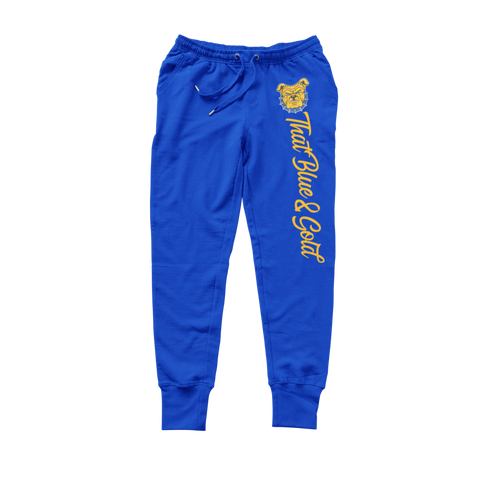 North Carolina A&T - Aggie Pride Sweatsuit - (Hoodie + Sweatpants)