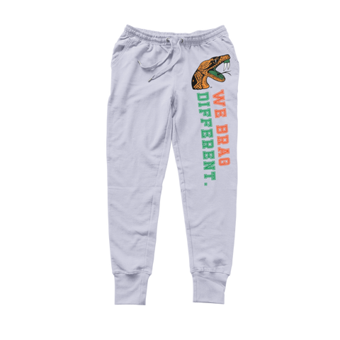 Florida A&M University  - FAMU We Brag Different  Sweatsuit - (Hoodie + Sweatpants)