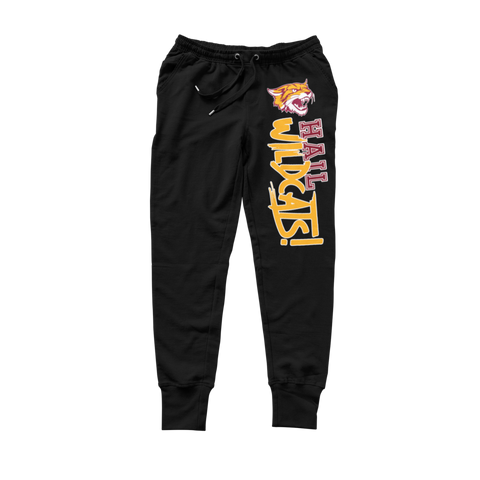 Bethune-Cookman University Wildcats Sweatsuit - (Hoodie + Sweatpants)