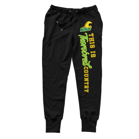 Kentucky State Tigers Sweatsuit - (Hoodie + Sweatpants)