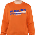 Auburn University Flag Edition (Men's Sweatshirt)